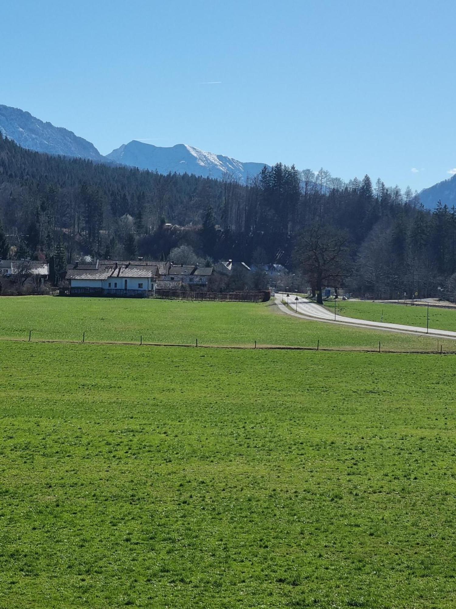 Ferienwohnungen Am Alpenrand Siegsdorf Bagian luar foto