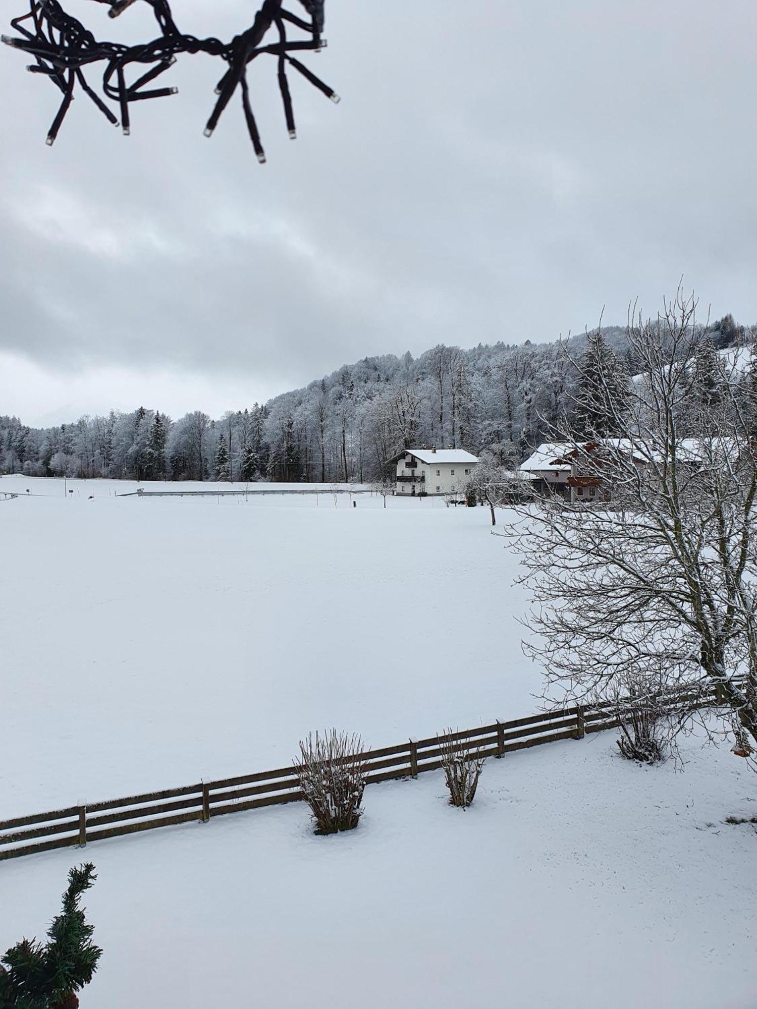 Ferienwohnungen Am Alpenrand Siegsdorf Bagian luar foto